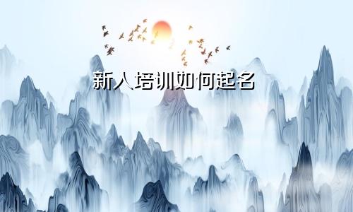 新人培训如何起名