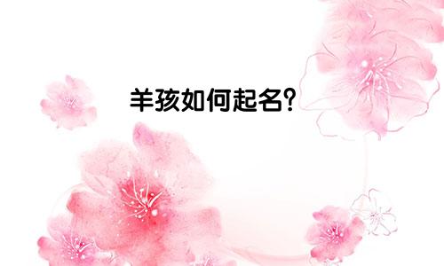 羊孩如何起名?