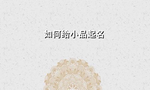 如何给小品起名
