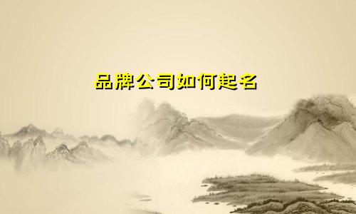 品牌公司如何起名