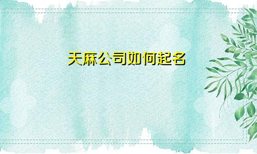 天麻公司如何起名