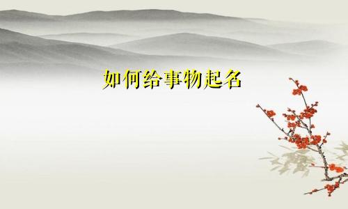 如何给事物起名