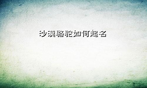 沙漠骆驼如何起名