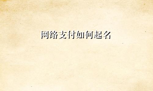 网络支付如何起名
