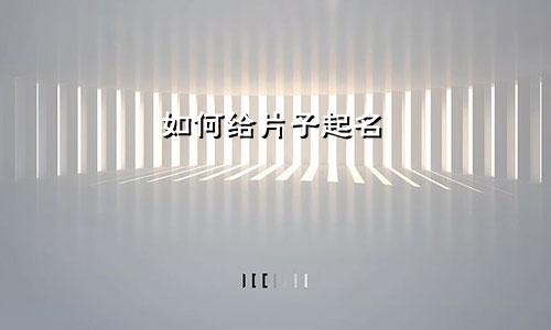 如何给片子起名