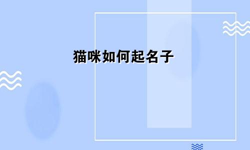 猫咪如何起名子