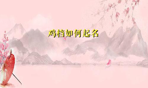 鸡档如何起名