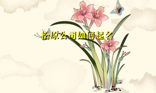 松原公司如何起名