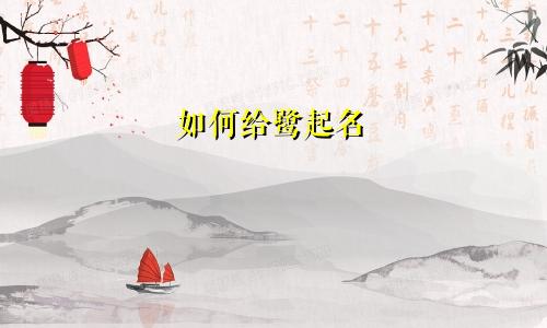 如何给鹭起名