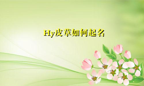 Hy皮草如何起名
