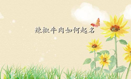 辣椒牛肉如何起名