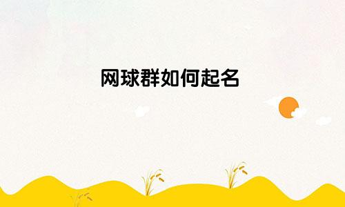 网球群如何起名