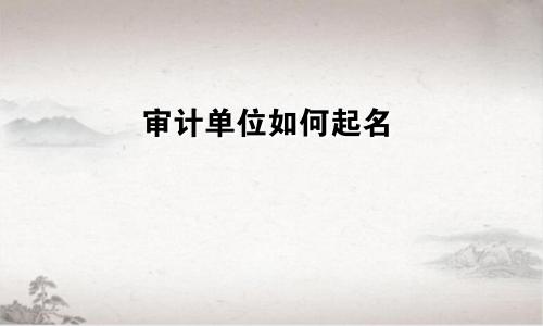 审计单位如何起名