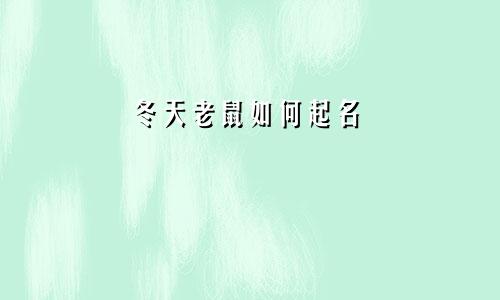 冬天老鼠如何起名