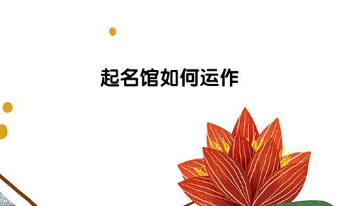 起名馆如何运作