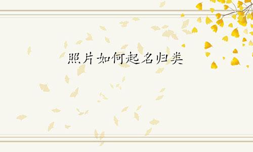 照片如何起名归类