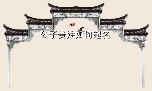公子贵姓如何起名