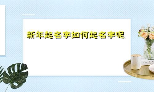 新年起名字如何起名字呢