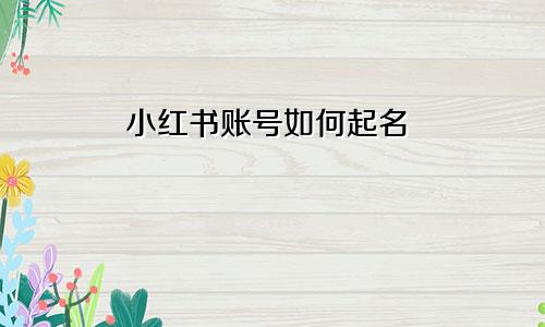 小红书账号如何起名
