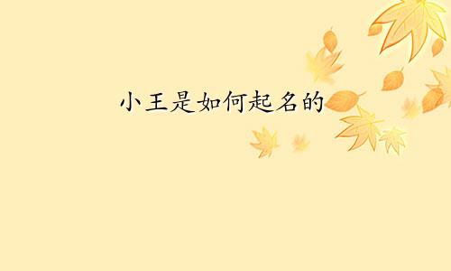 小王是如何起名的