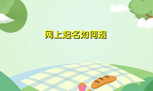 网上起名如何退
