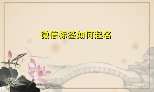 微信标签如何起名