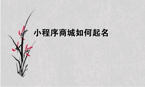 小程序商城如何起名