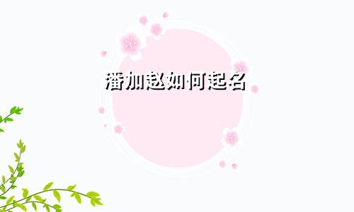 潘加赵如何起名