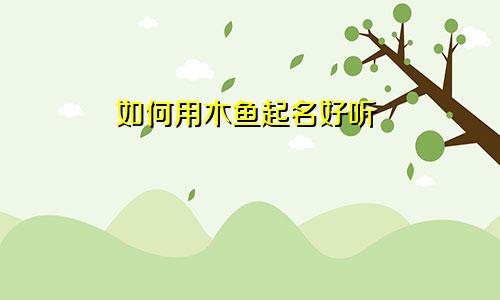 如何用木鱼起名好听