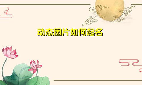 动态图片如何起名