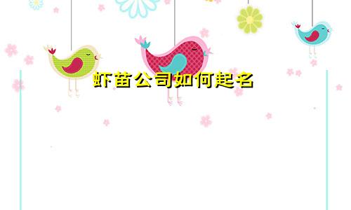 虾苗公司如何起名