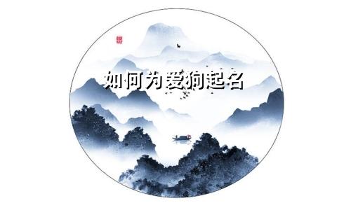 如何为爱狗起名