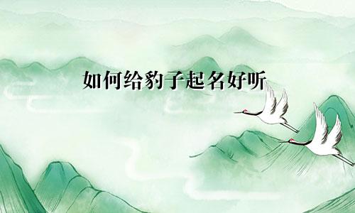 如何给豹子起名好听