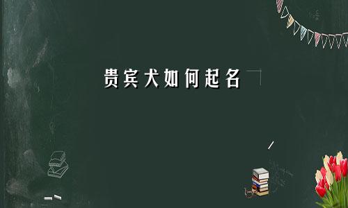 贵宾犬如何起名