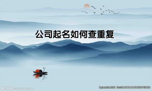公司起名如何查重复