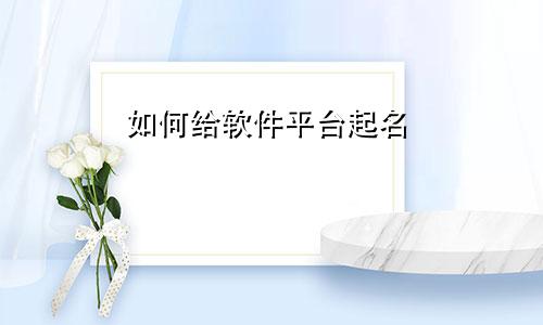 如何给软件平台起名