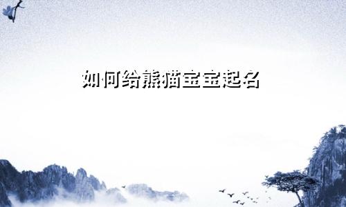 如何给熊猫宝宝起名