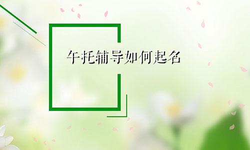 午托辅导如何起名