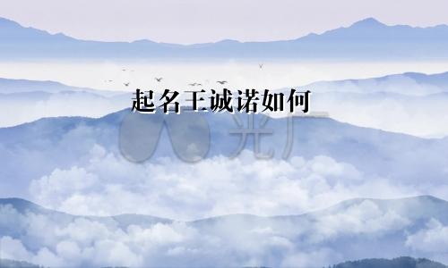 起名王诚诺如何