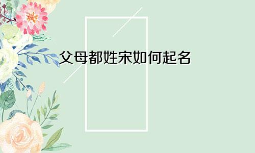 父母都姓宋如何起名