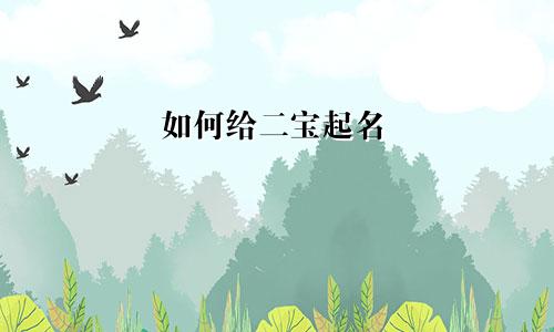 如何给二宝起名