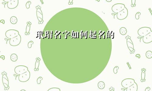 玳瑁名字如何起名的